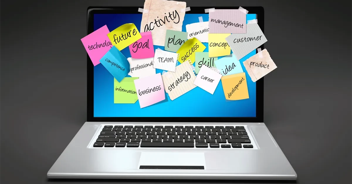 أنشطة التطوير المهني وبناء القدرات